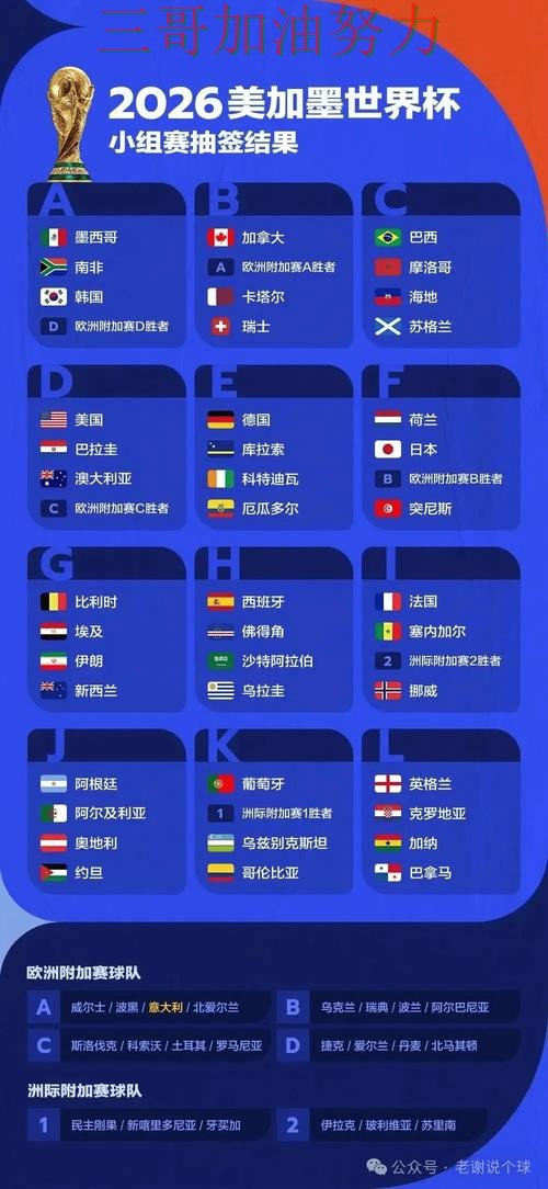 世界杯投注真实体验总结：平台可靠吗关键点解析（World Cup 2026）